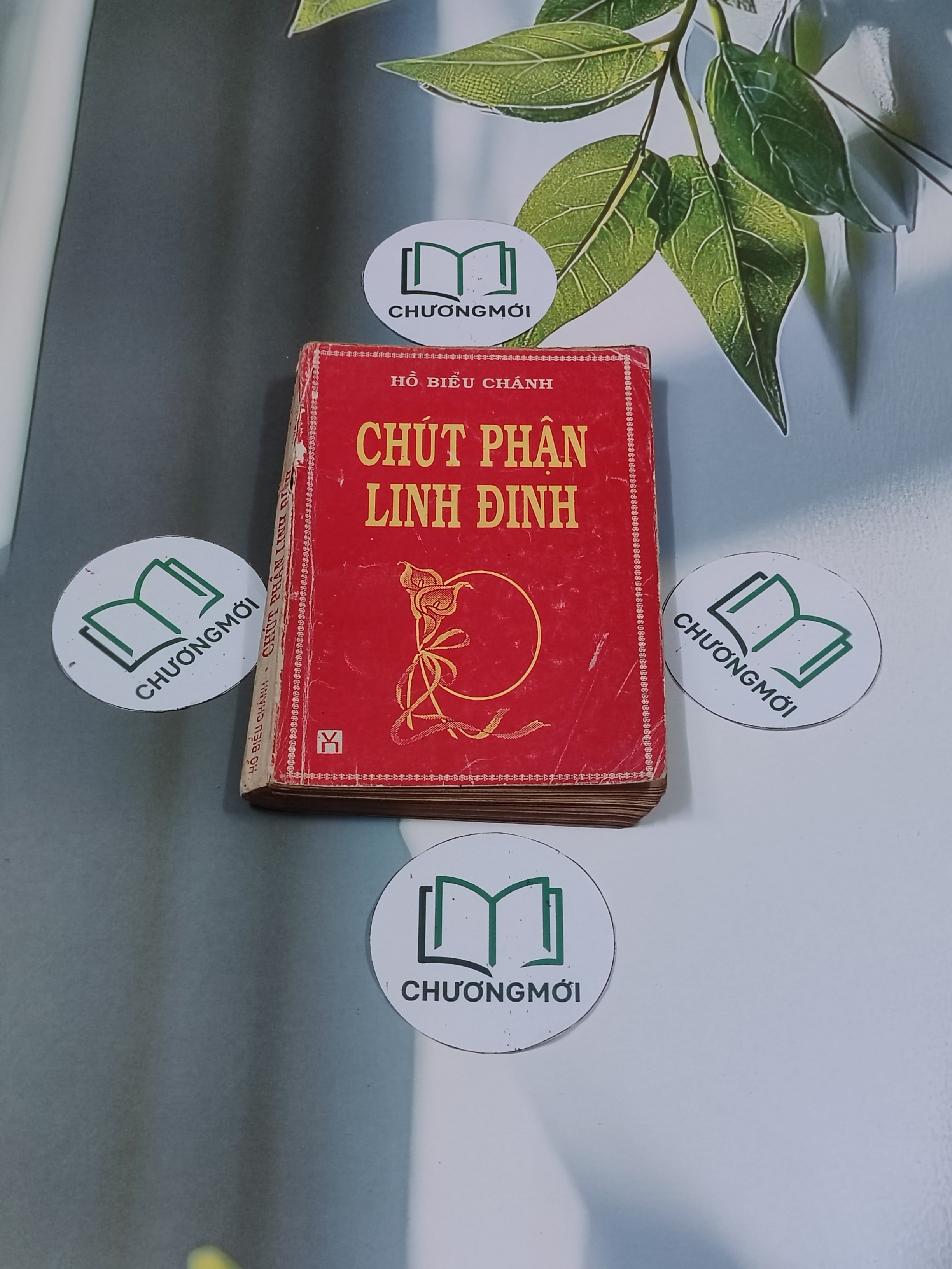 Chút Phận Linh Đinh