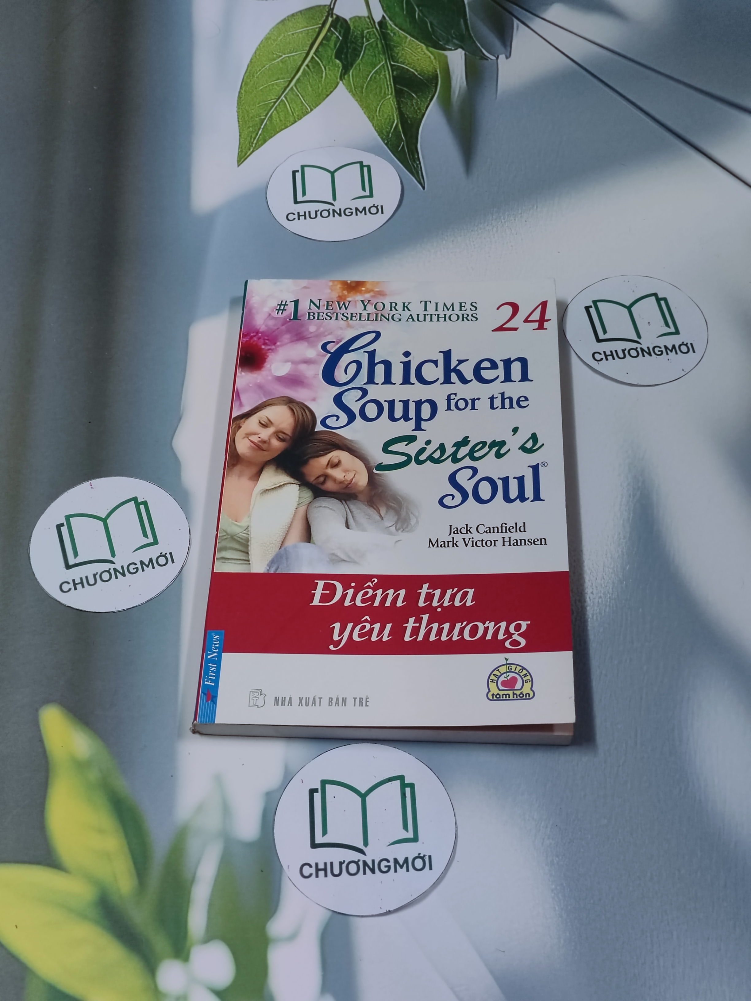 Chicken Soup for the Sister's Soul: Điểm tựa yêu thương - Song ngữ