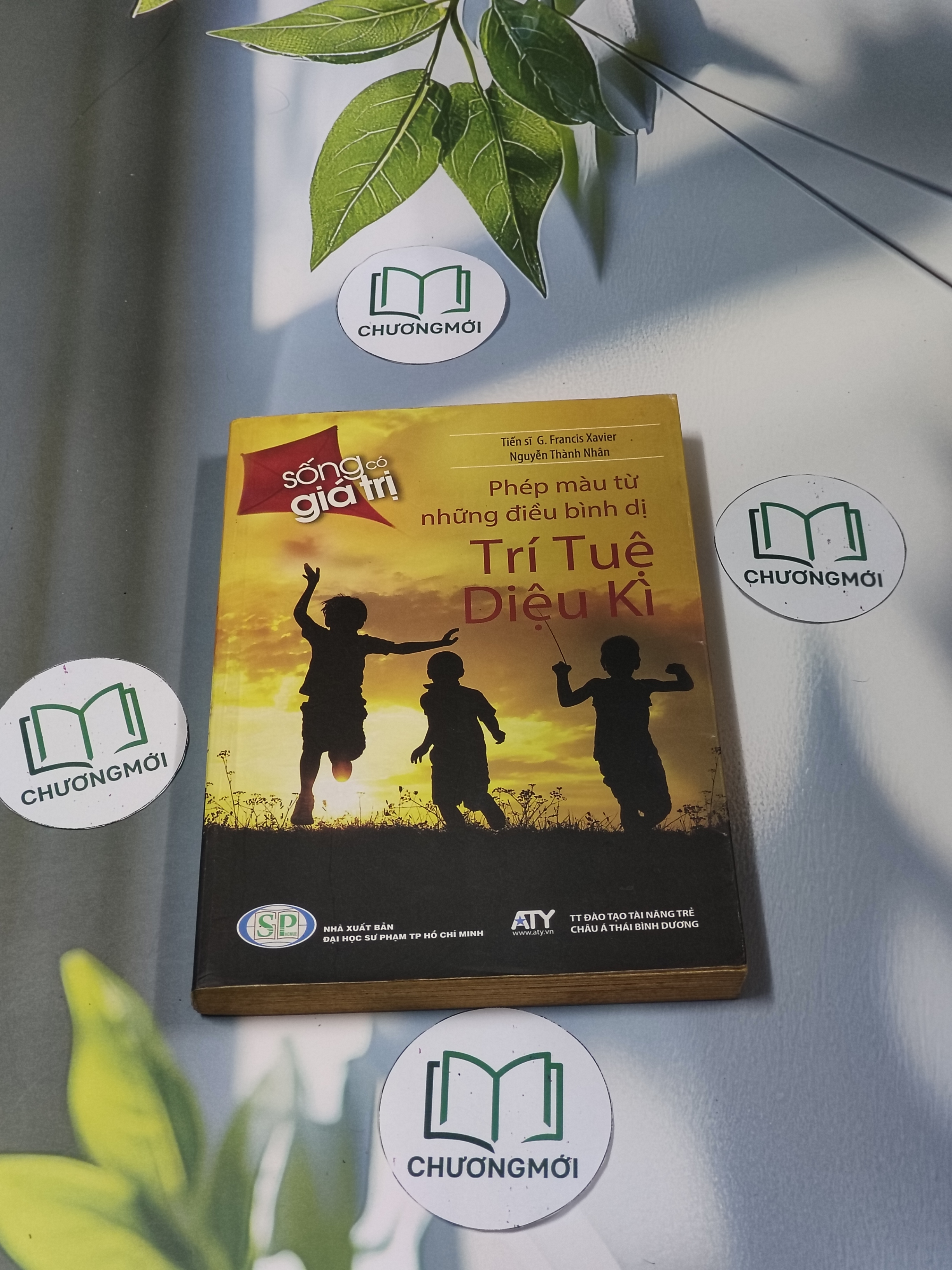Trí tuệ diệu kỳ