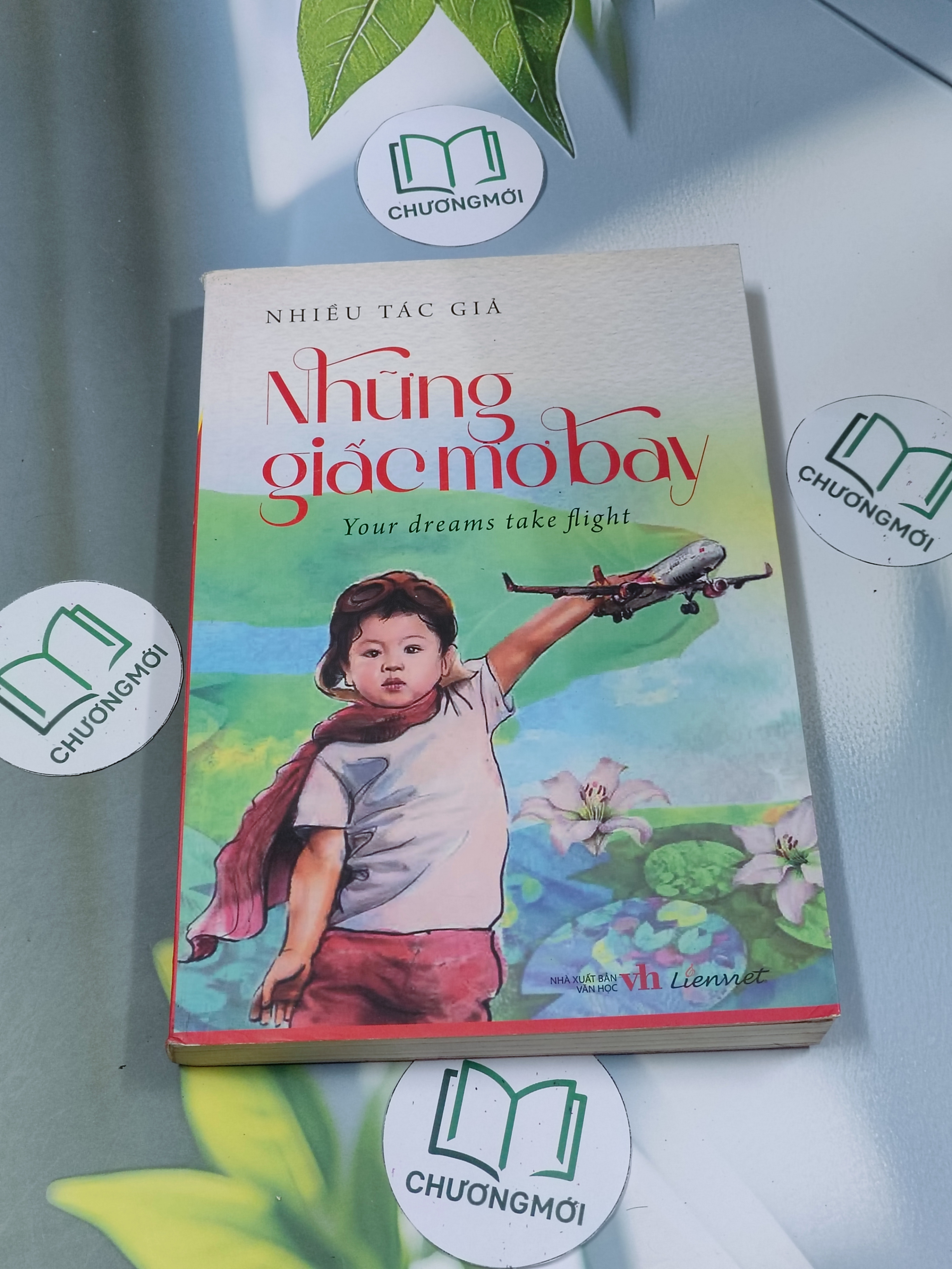 Những giấc mơ bay - Your dreams take flight ( song ngữ )