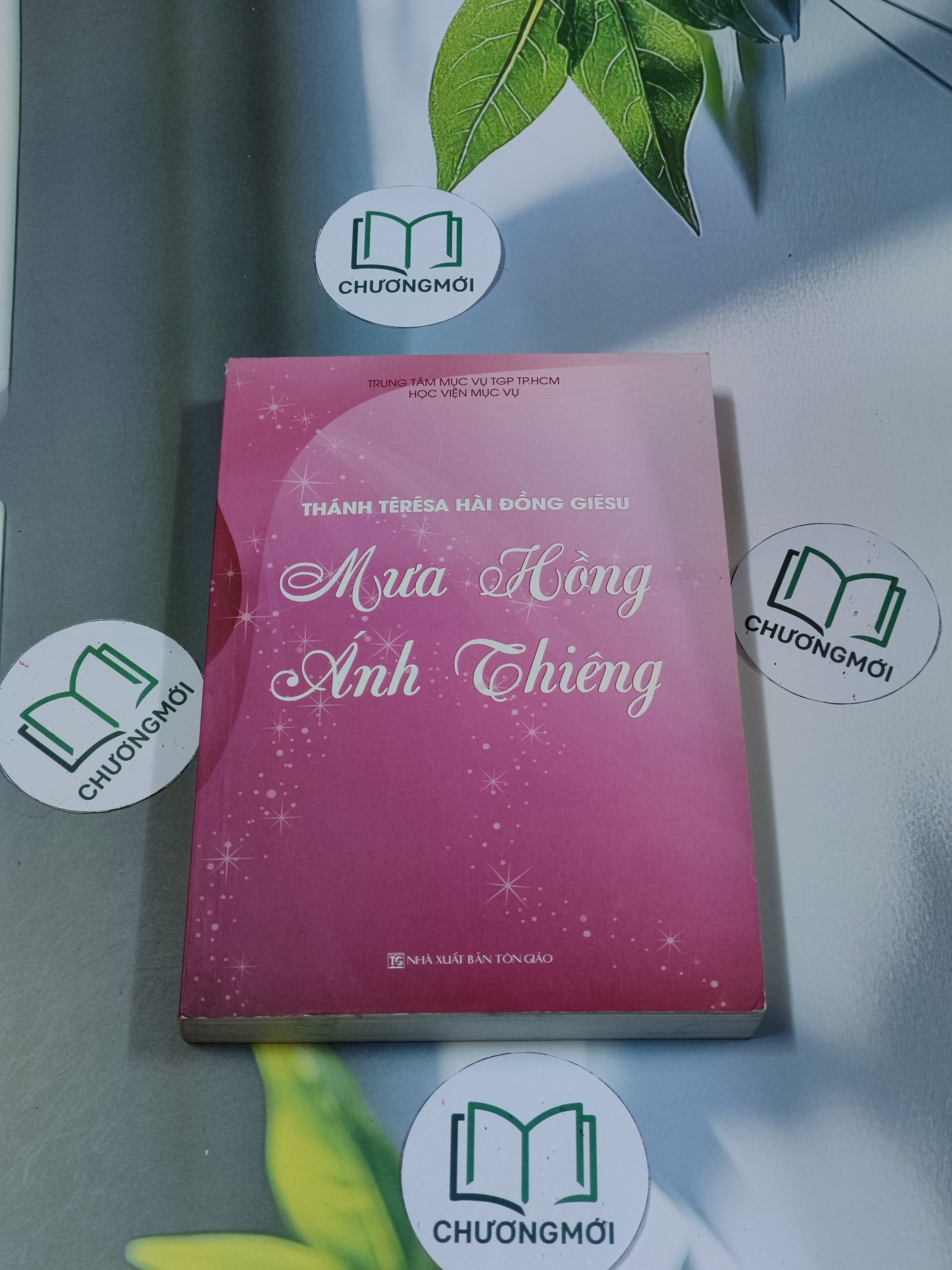 Mưa hồng ánh thiêng - Thánh Têresa hài đồng Giêsu