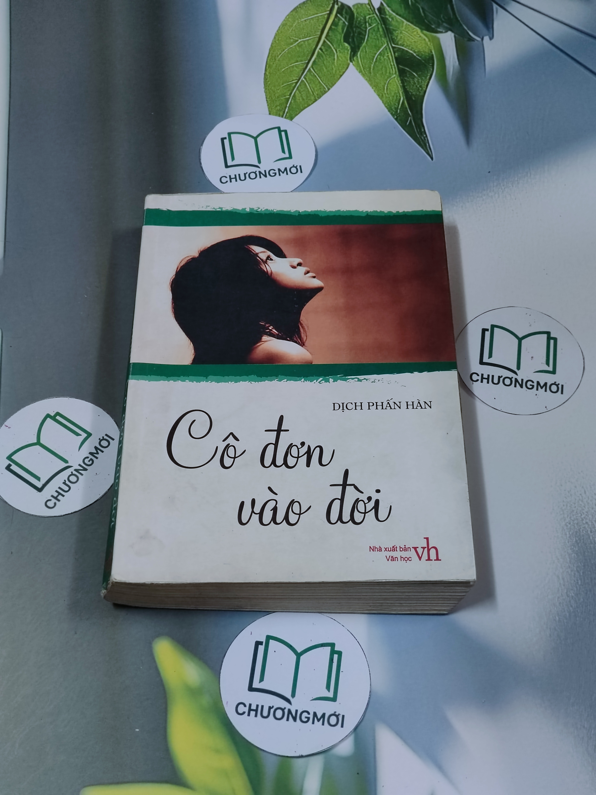 Cô đơn vào đời