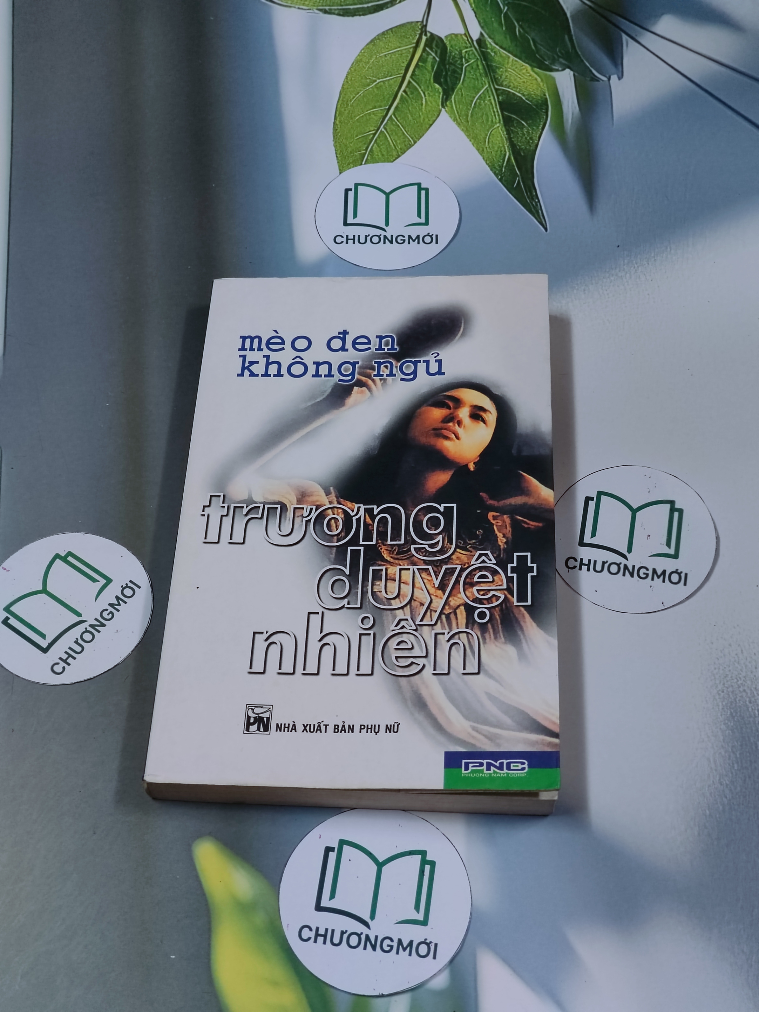 Mèo đen không ngủ