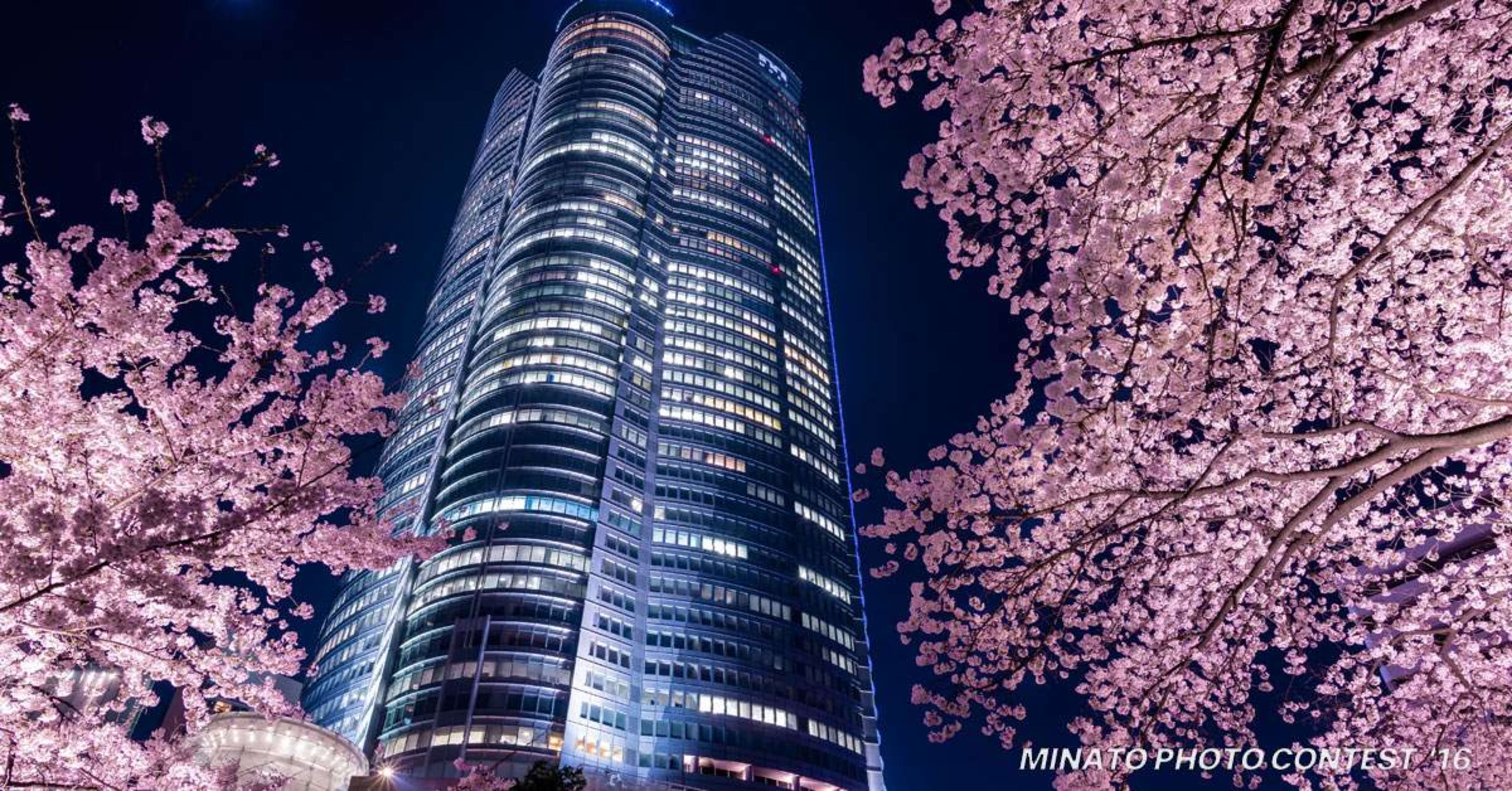 도쿄타워 도보 7분｜롯폰기잇초메역 1분｜Asahistay-Roppongi 18