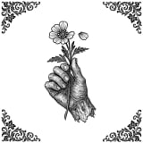 Dryas Leaf