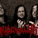 Malevolent