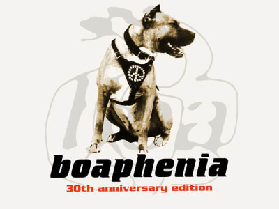 Phillip Boa & The Voodooclub