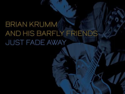 Brian Krumm And His Barfly Friends