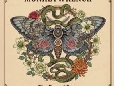 FOO FIGHTERS by MONKEYWRENCH // Plus Late "Skin & Bones Acoustic Special"