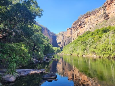 Kakadu