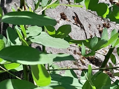 Kunsthalle Im Alten Kalkwerk