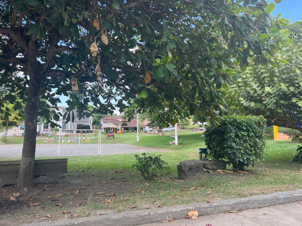 Main park of the town