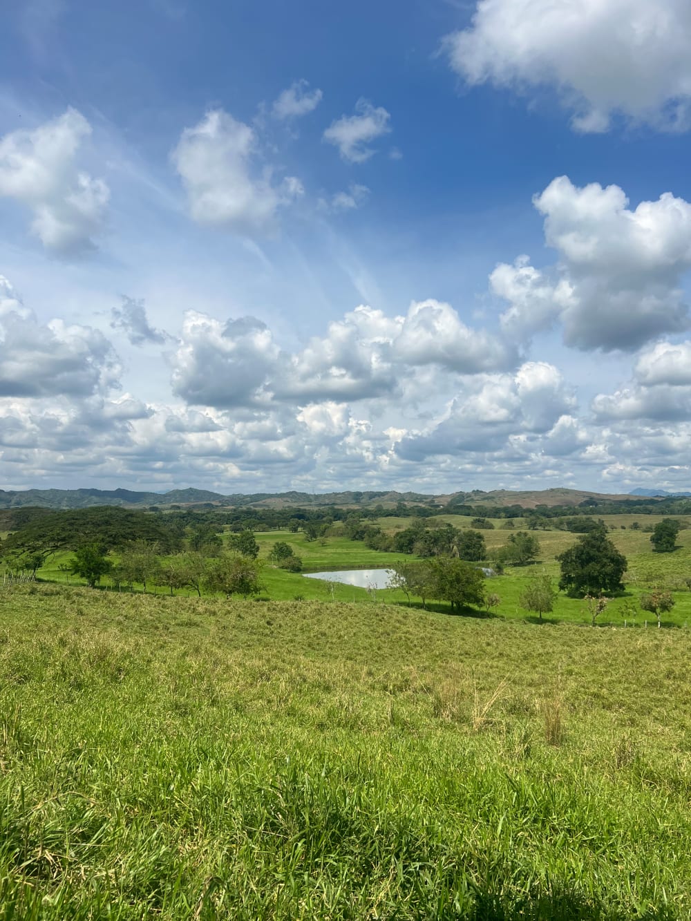 Landscape with a lake and mountains in the background