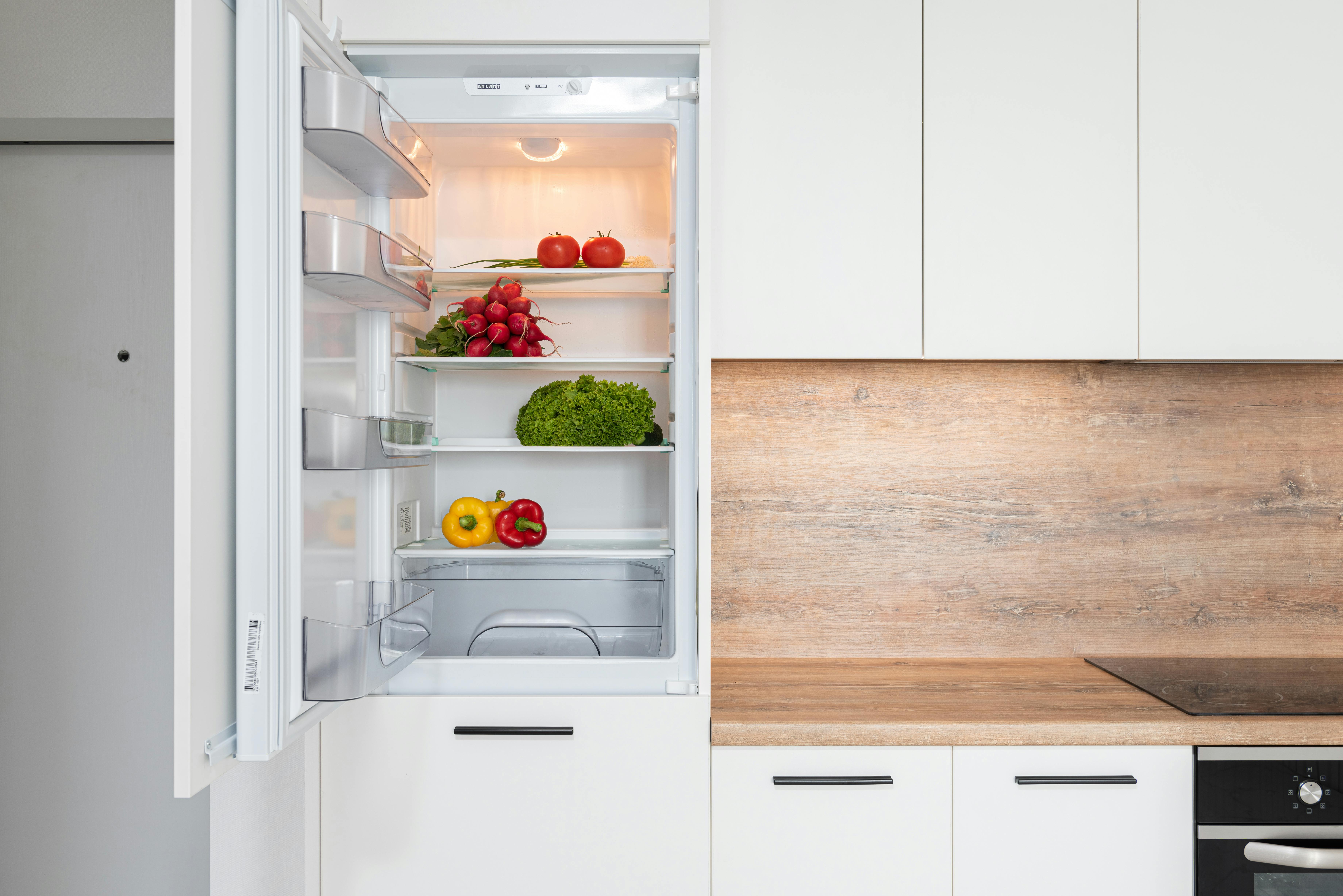 Professional refrigerator repair service
