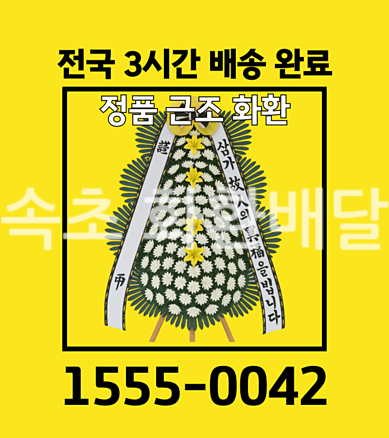 속초 화환 배달 실제 배송 현장