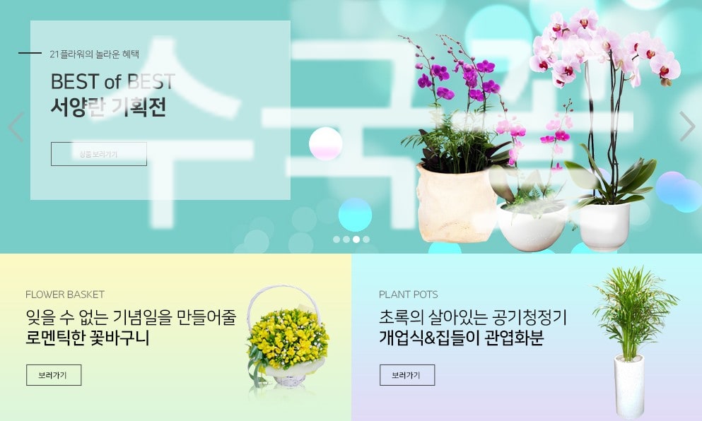 수국꽃 정품 꽃배달 실제 배송 사례