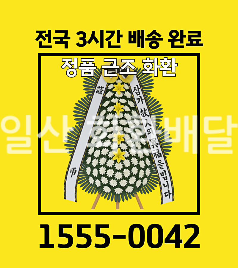 일산 화환배달 실제 배송 사진