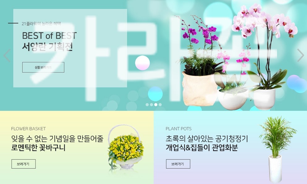 카라꽃 정품 꽃배달 실제 배송 사례