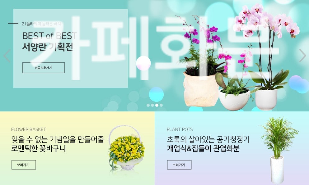 카페화분 정품 꽃배달 실제 배송 사례