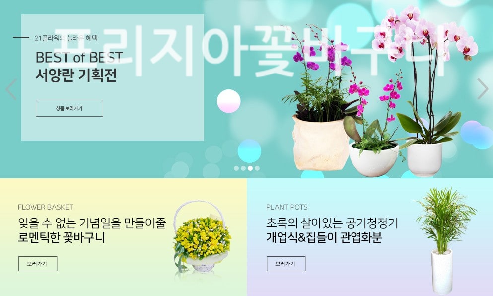 프리지아꽃바구니 정품 꽃배달 실제 배송 사례