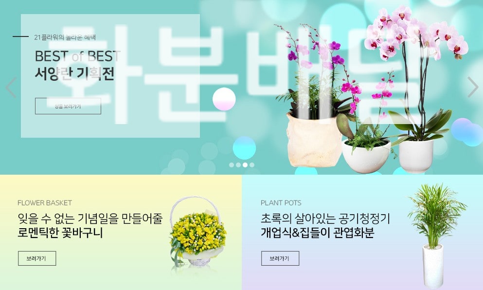 화분배달 정품 꽃배달 실제 배송 사례