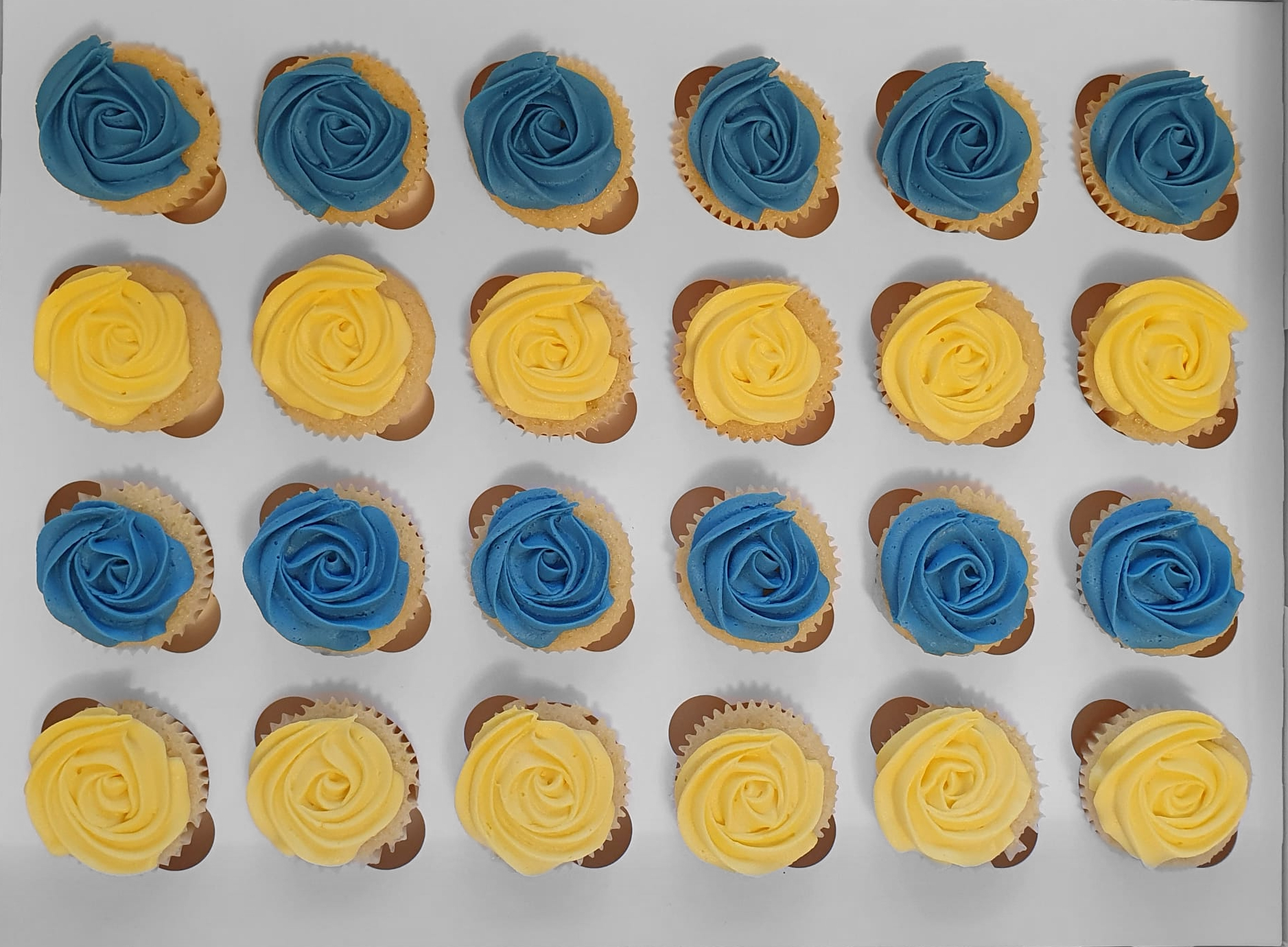 Student 2026 cupcake