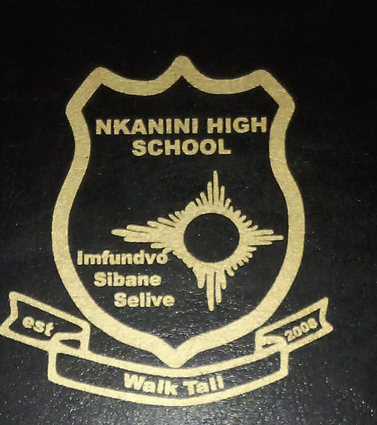 Nkanini High School logo