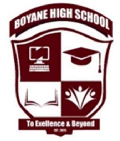Boyane High logo