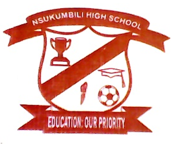 Nsukumbili High logo