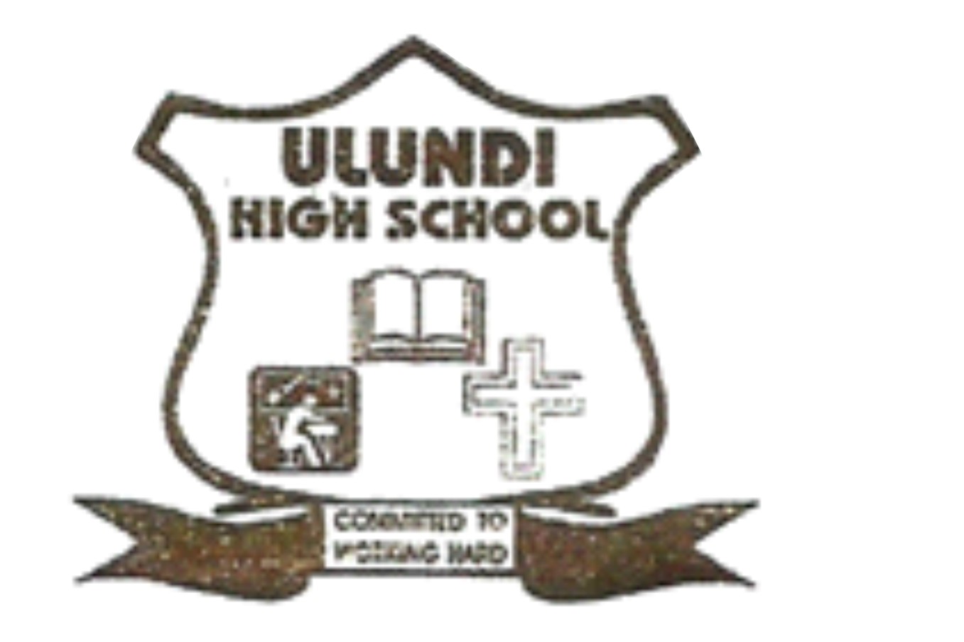 Ulundzi High logo