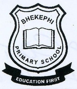 Bhekephi Primary School logo