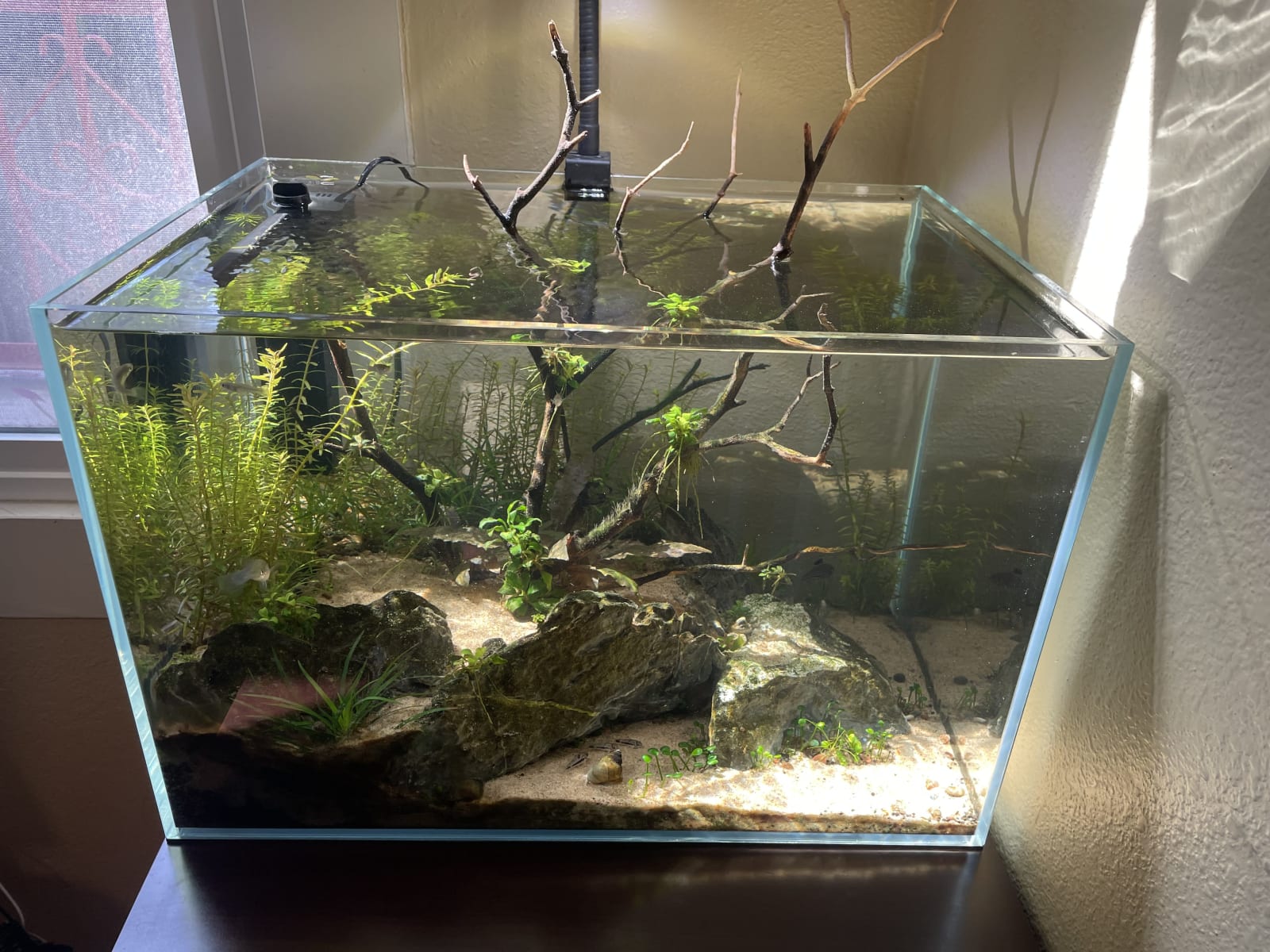Mosquito Fish · Apr 7, 2026
