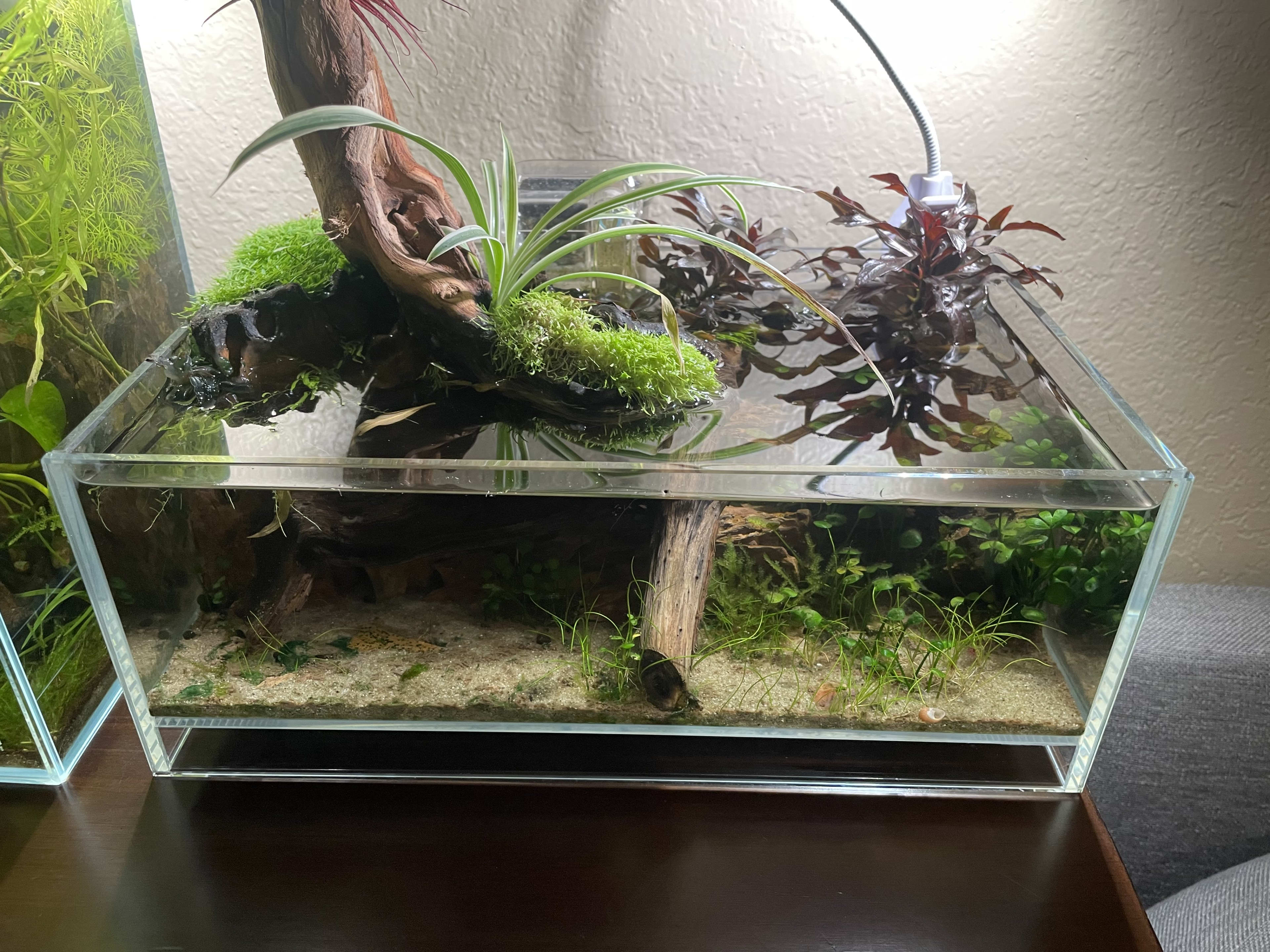 small slice of nature