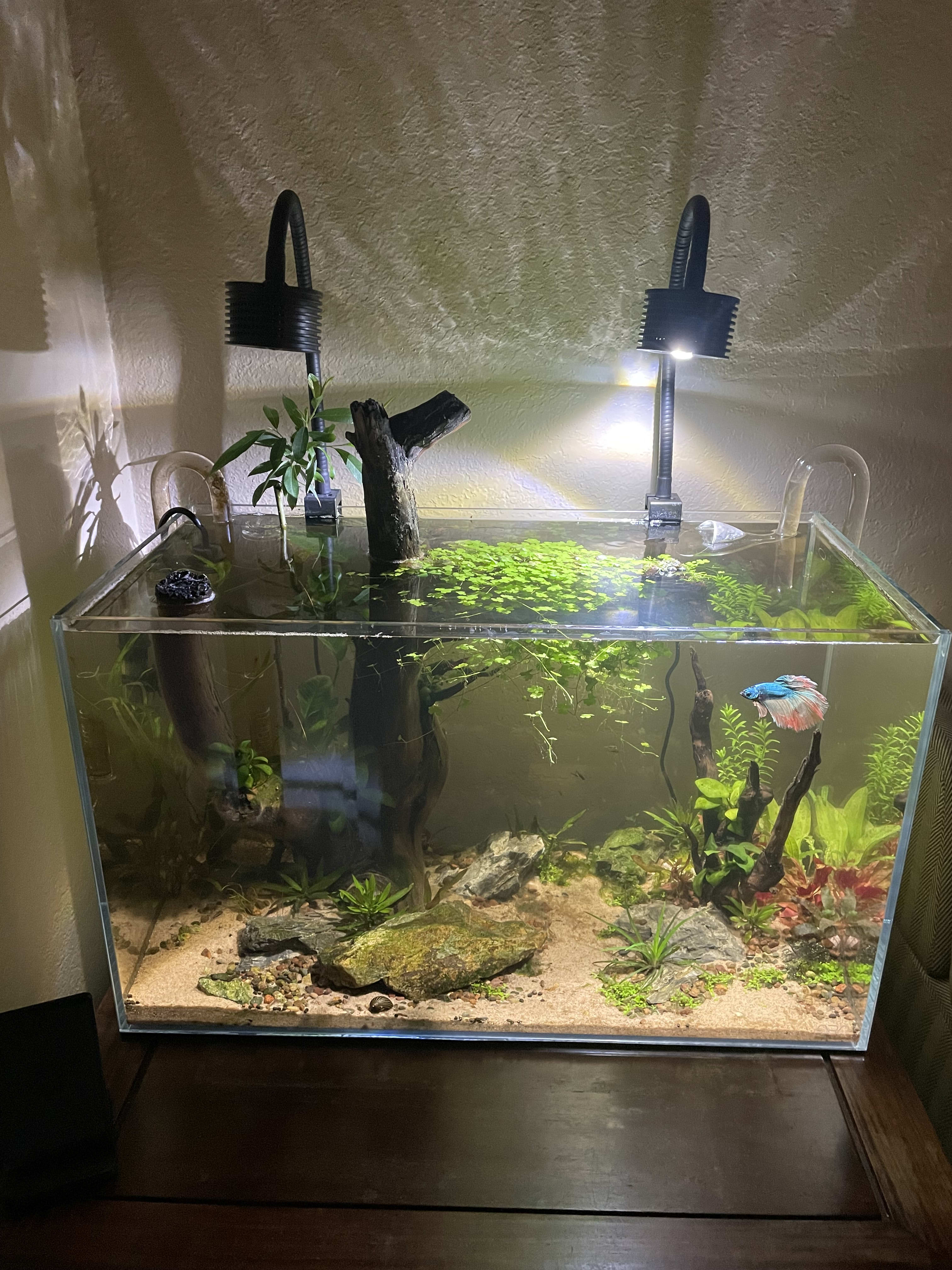 Setup