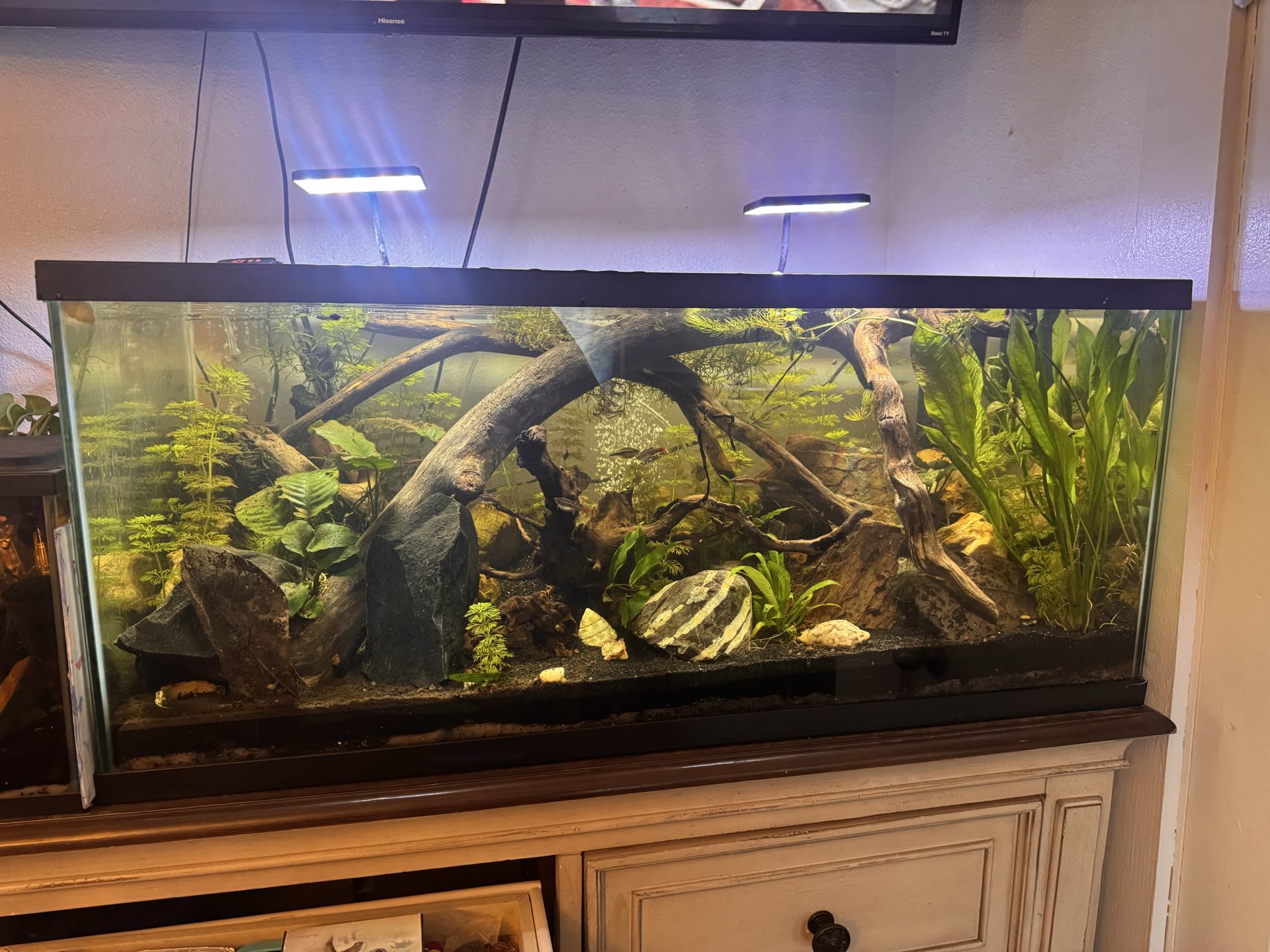Community Tank
