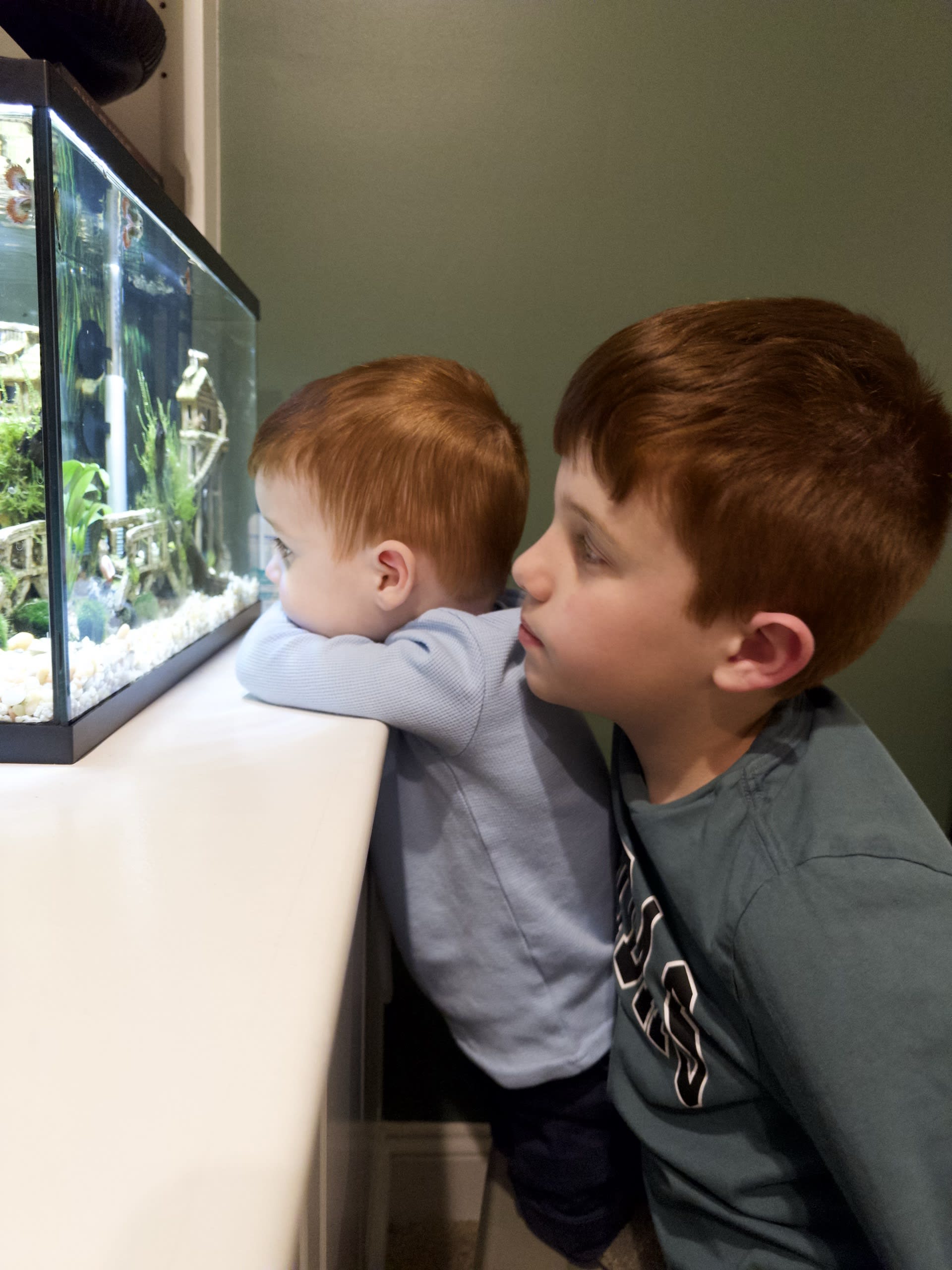 Living Room Tank