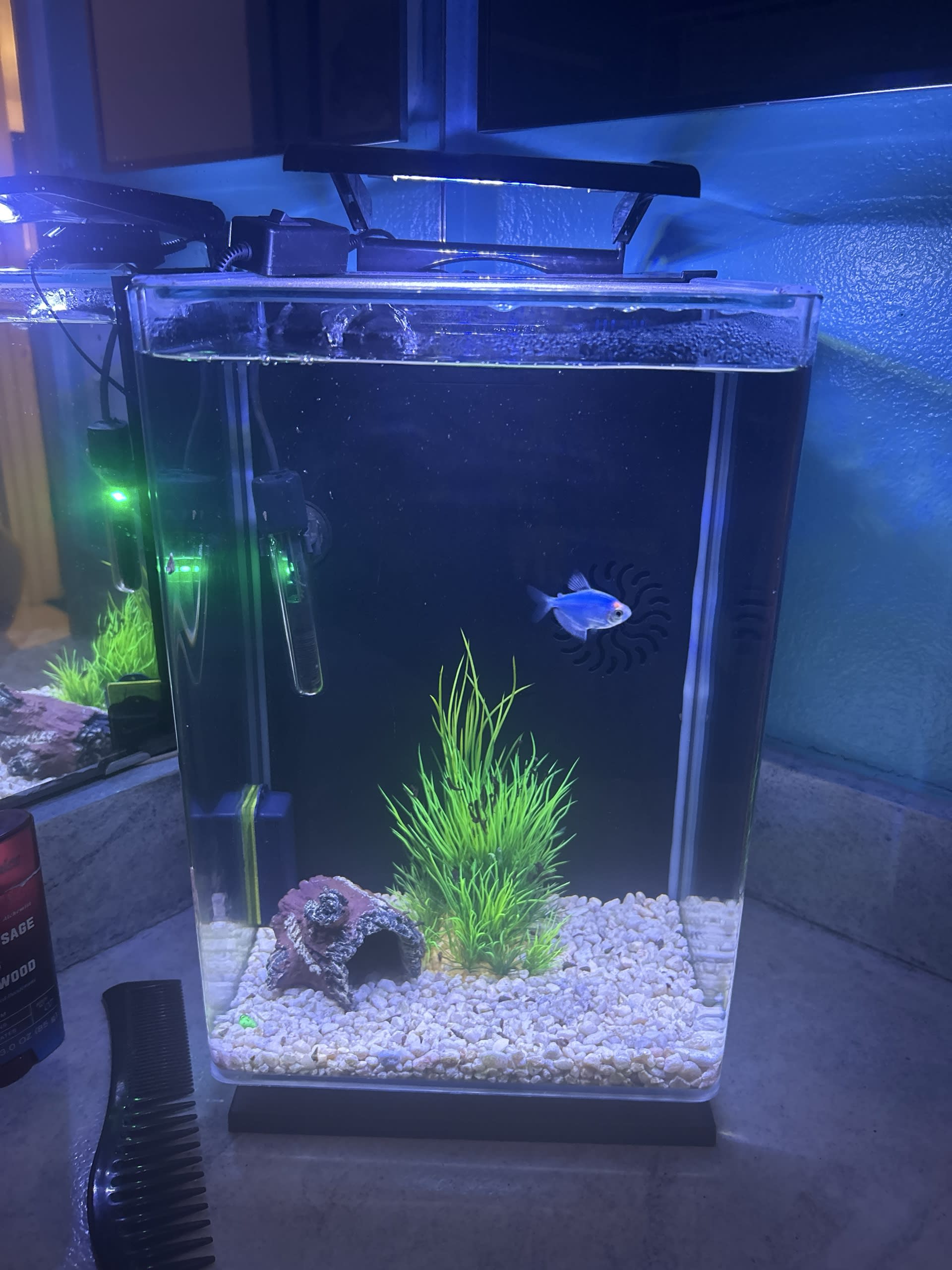 Bathroom Tank