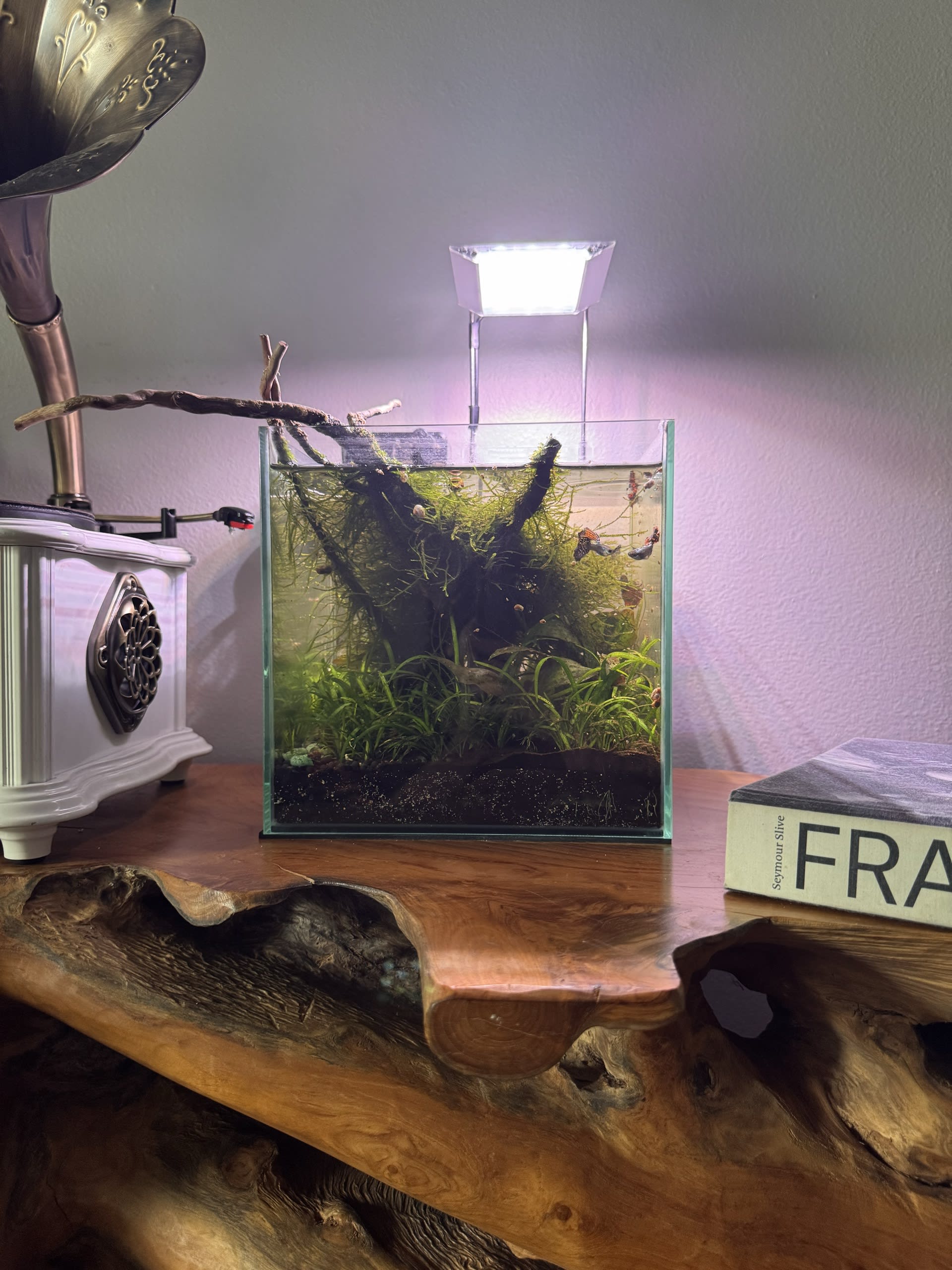 Biocube