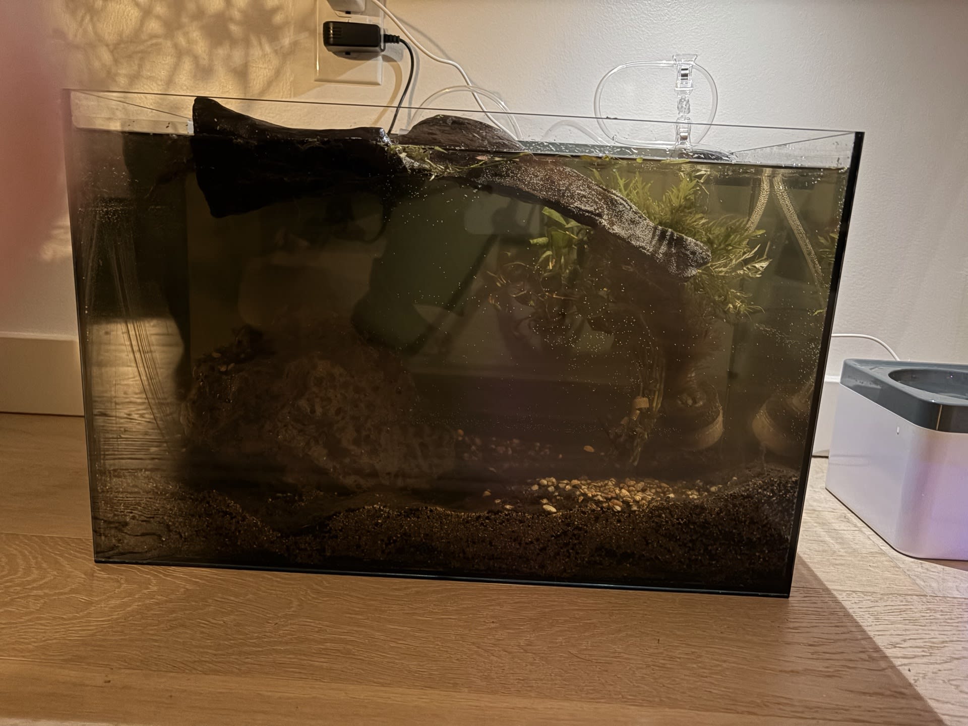 Villain Tank