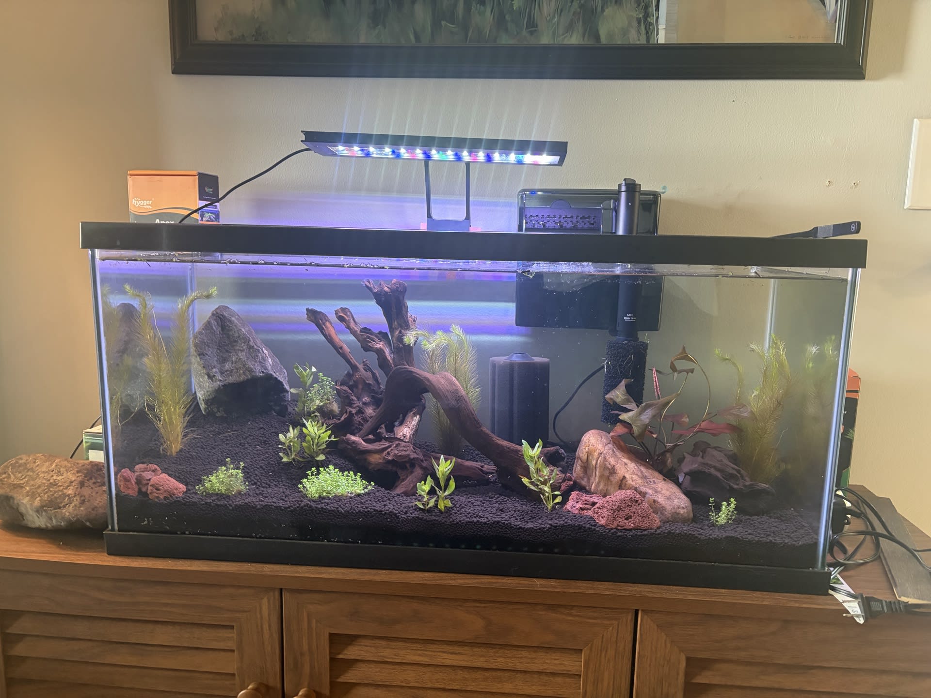 Community Tank