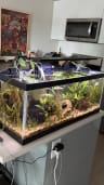 Freshwater Tank