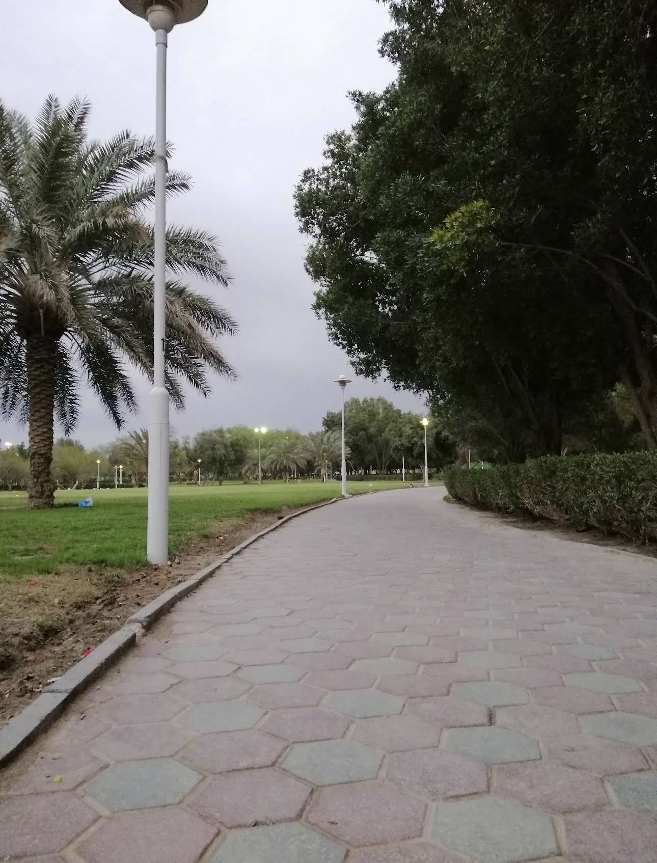 شقه للايجار فى القصر موقع مميز 4