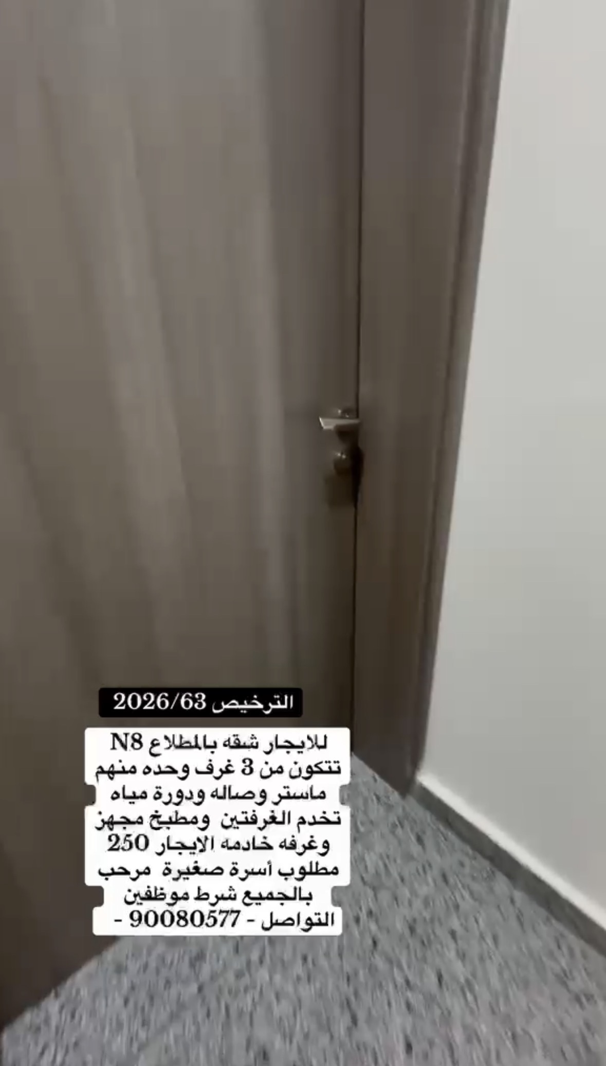 للإيجار شقه فى المطلاع ان 8 1