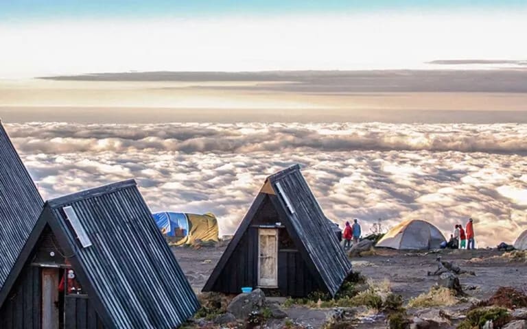 6-day Marangu Route Kilimanjaro trekking tour for beginners in Tanzania