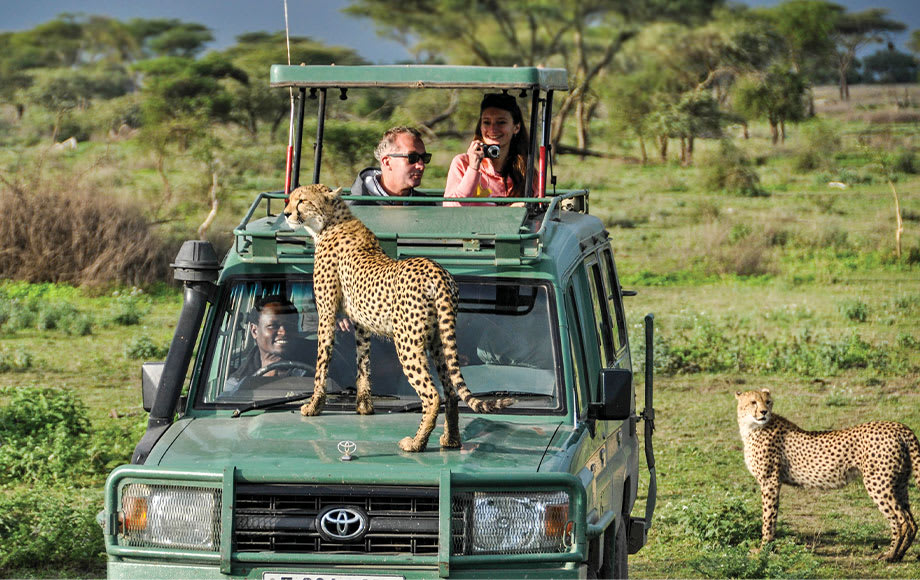Safari jeep in Serengeti National Park with wildlife