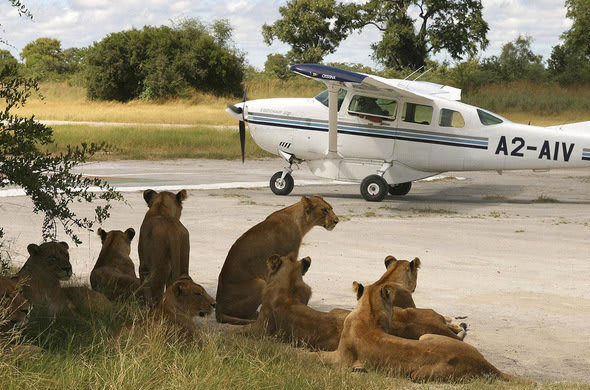 Closest airport to Ngorongoro Crater