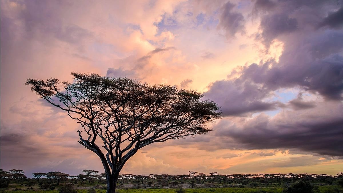 Best time to visit Tanzania