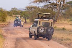 Safari jeep and guide in Tanzania