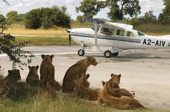 Closest airport to Ngorongoro Crater