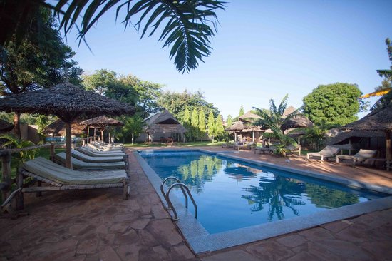 Honey Badger Lodge Moshi